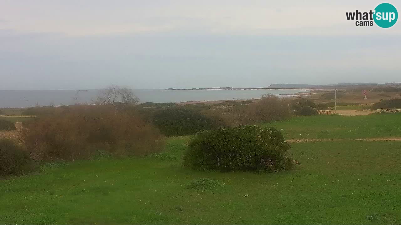 Spiaggia Mari Ermi | Is Arutas – Oristano