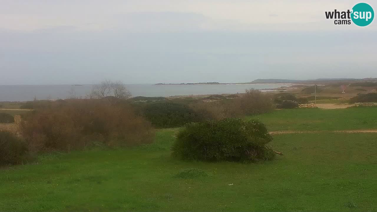 Spiaggia Mari Ermi | Is Arutas – Oristano