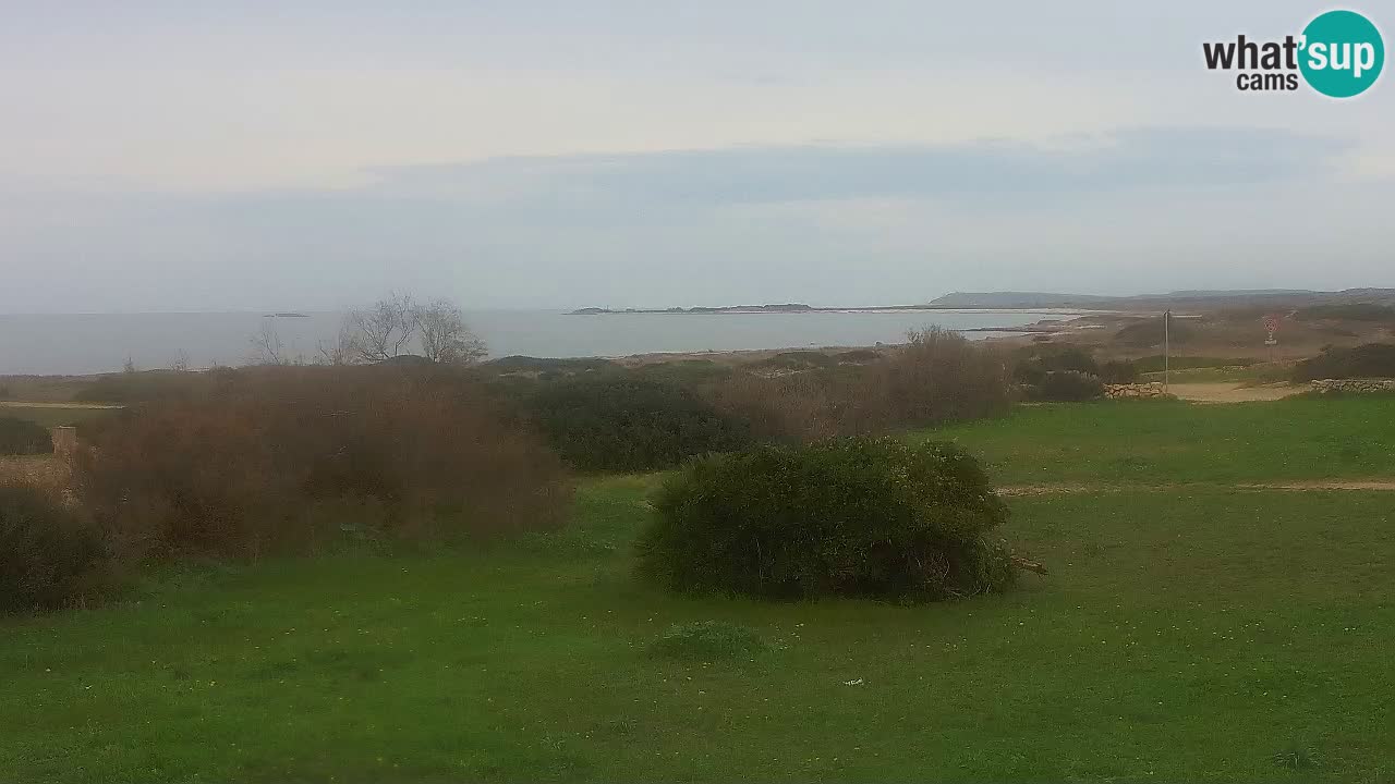 Playa Mari Ermi | Is Arutas – Oristano