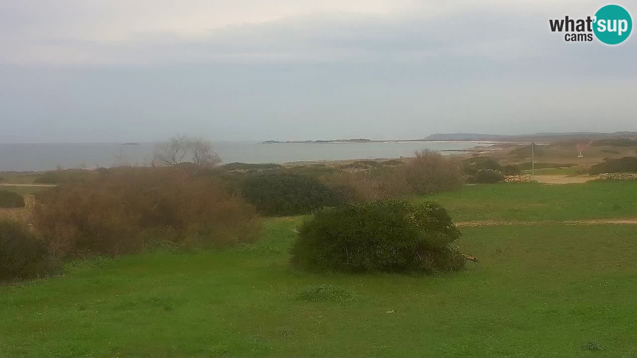 Mari Ermi beach | Is Arutas – Oristano