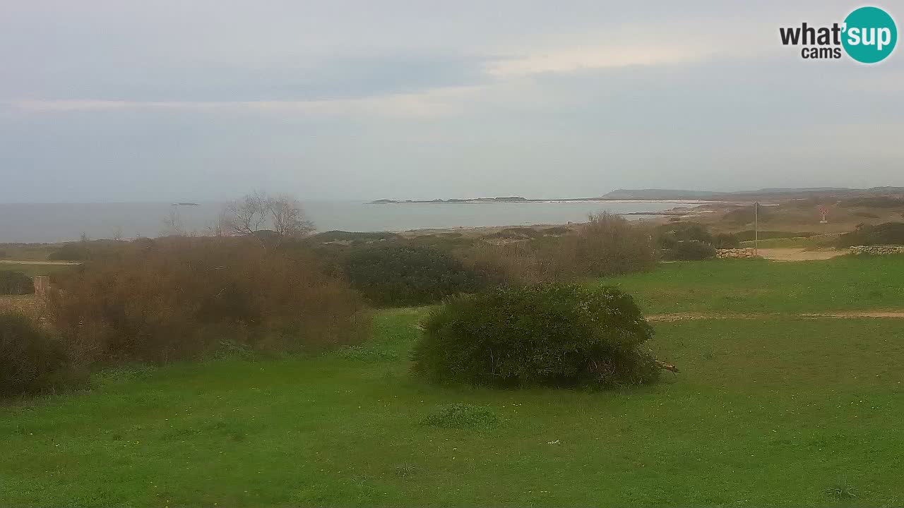 Mari Ermi beach | Is Arutas – Oristano