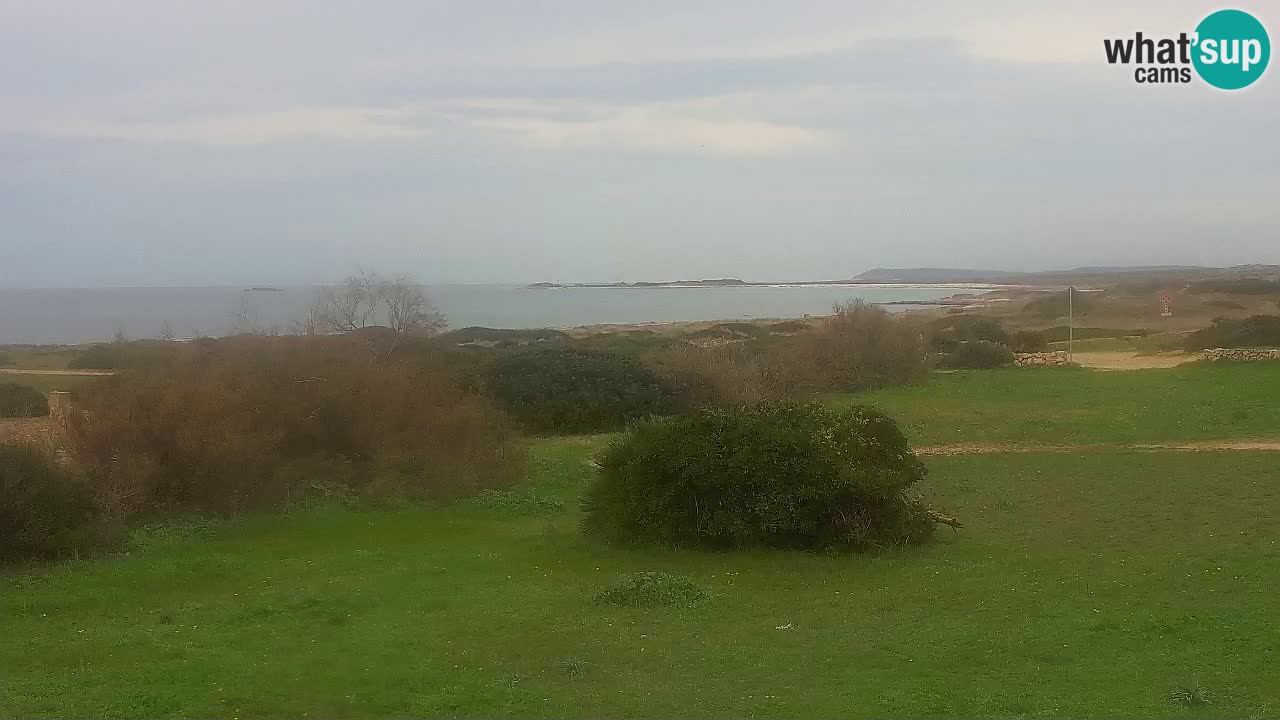 Mari Ermi Strand | Is Arutas – Oristano