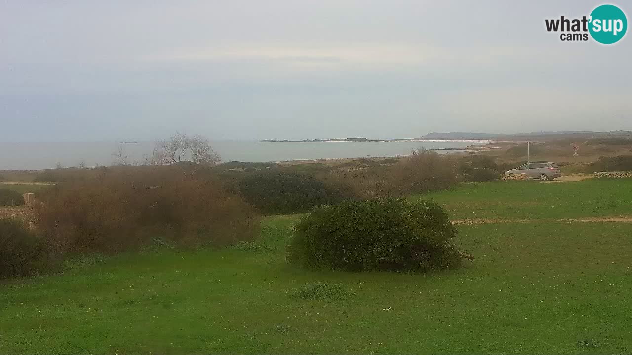 Plaža Mari Ermi | Is Arutas – Oristano