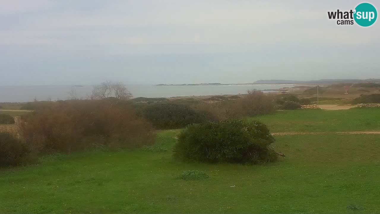 Plage Mari Ermi | Is Arutas – Oristano