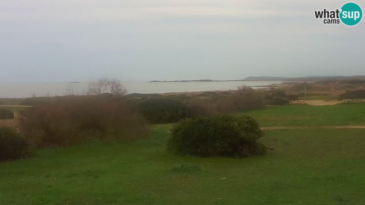 Mari Ermi Strand | Is Arutas – Oristano