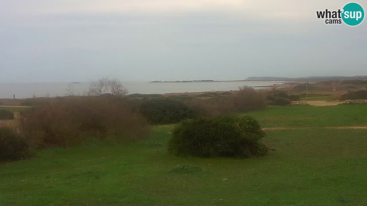 Plage Mari Ermi | Is Arutas – Oristano