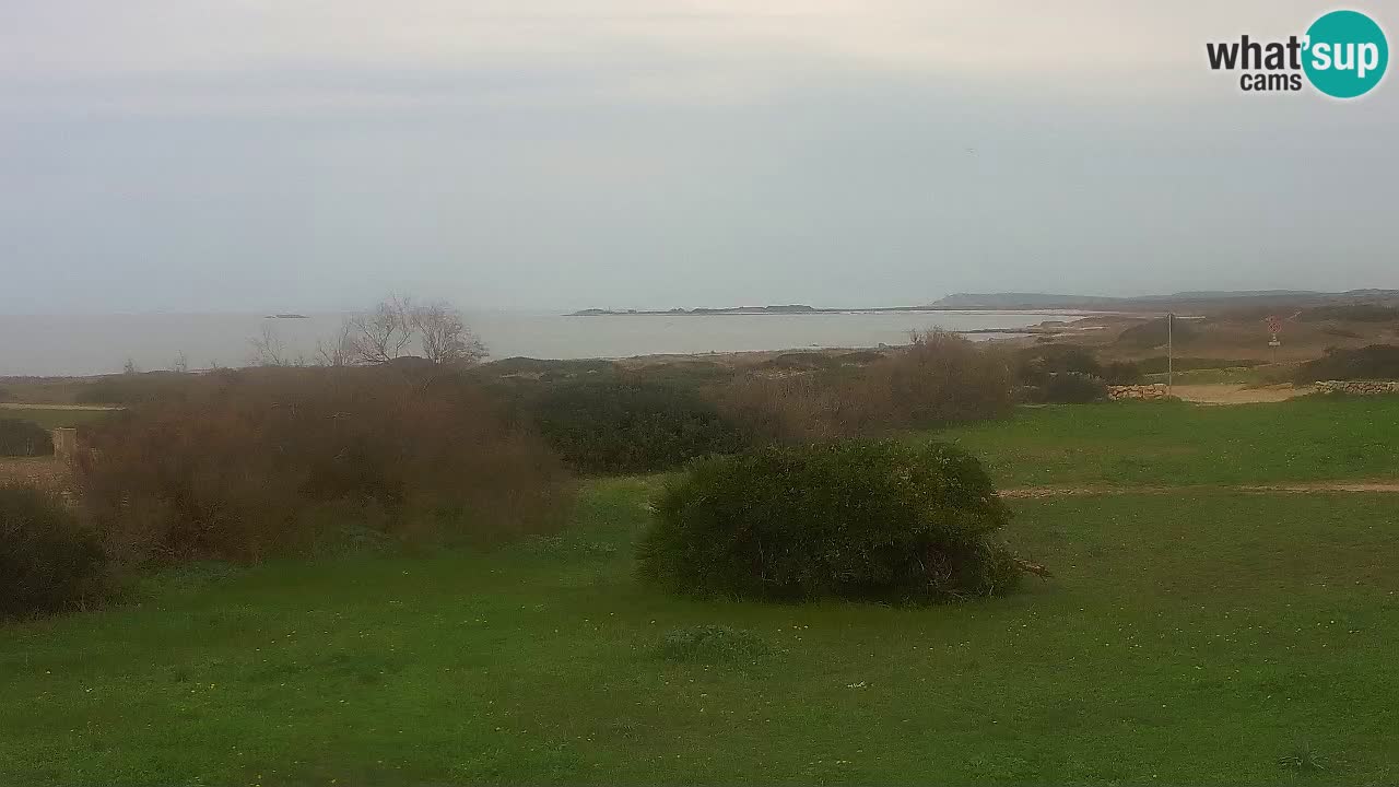 Plaža Mari Ermi | Is Arutas – Oristano