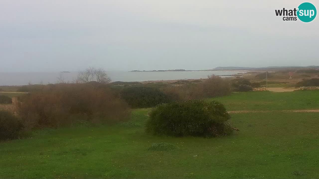 Plage Mari Ermi | Is Arutas – Oristano