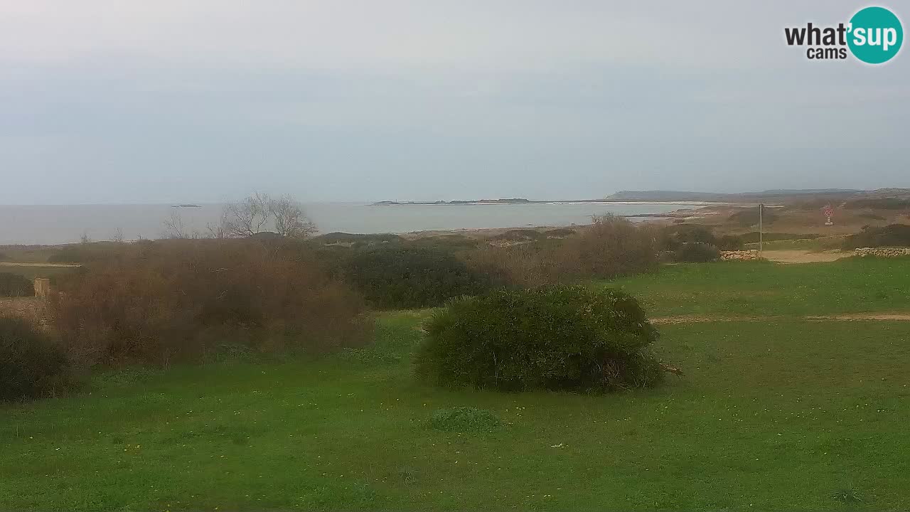 Mari Ermi beach | Is Arutas – Oristano