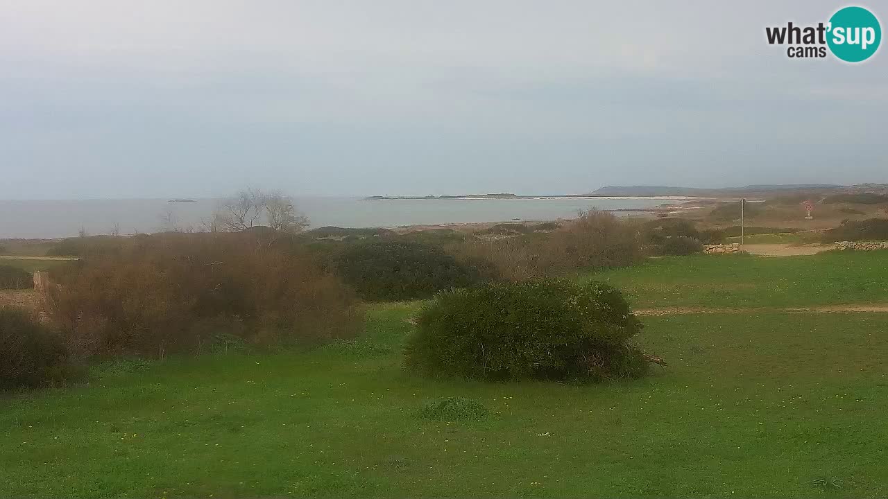 Mari Ermi beach | Is Arutas – Oristano