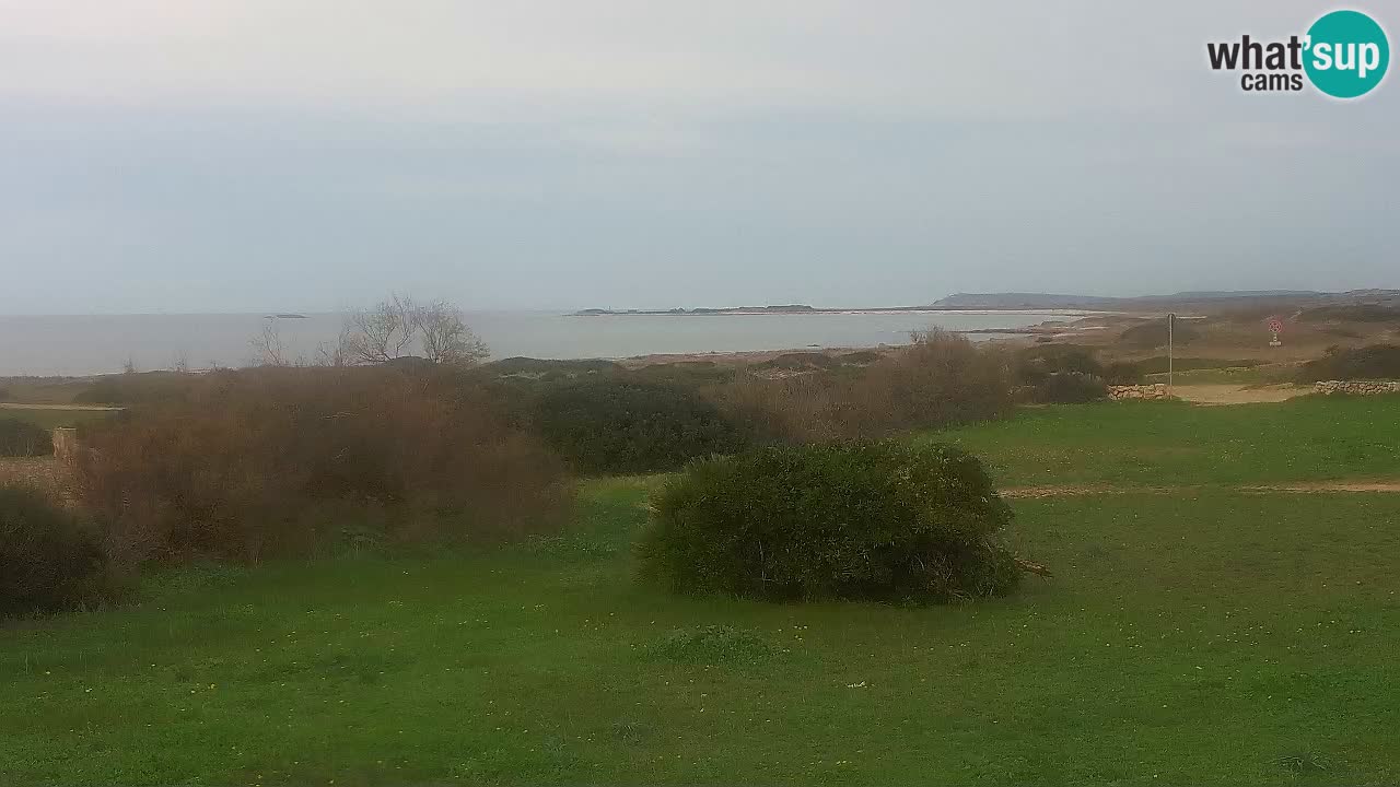 Plage Mari Ermi | Is Arutas – Oristano