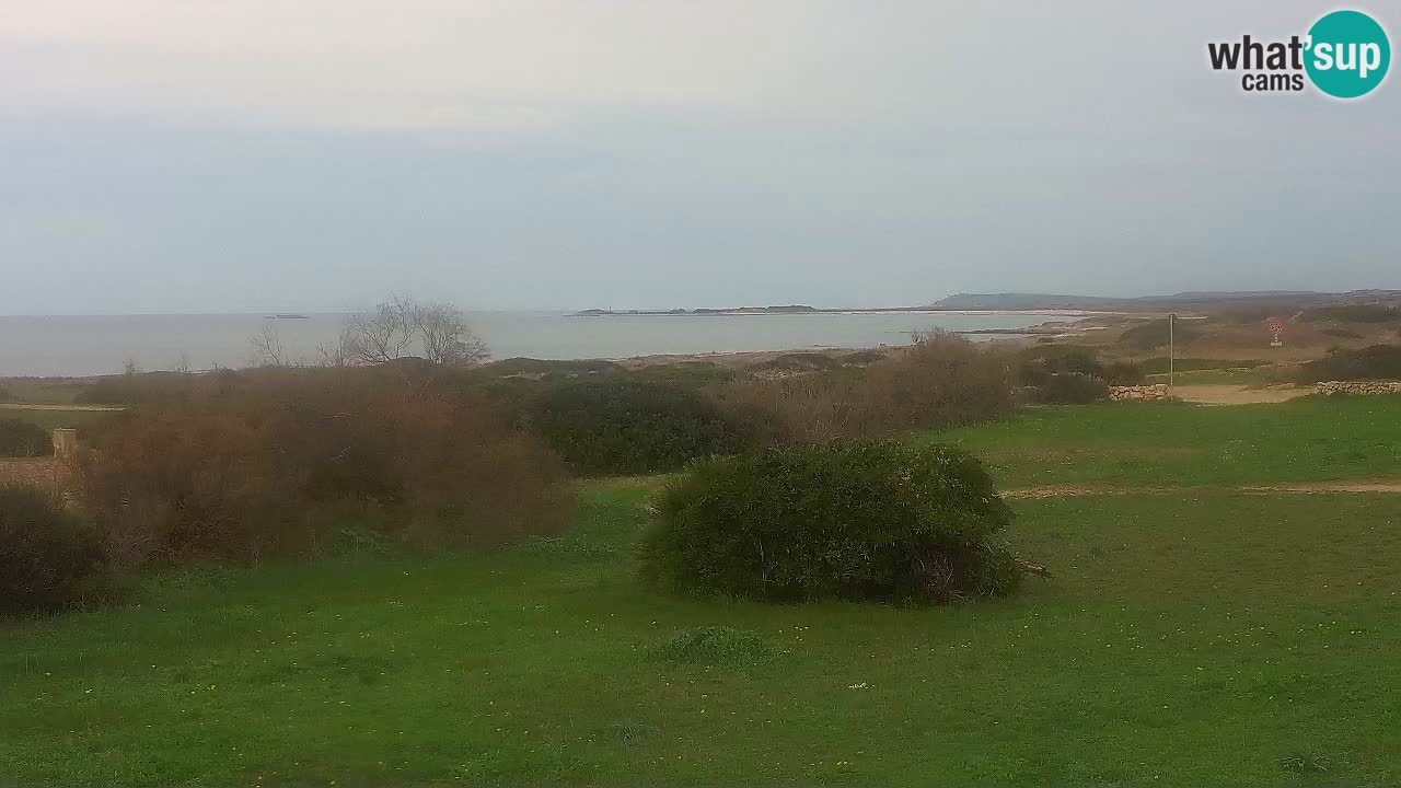 Playa Mari Ermi | Is Arutas – Oristano