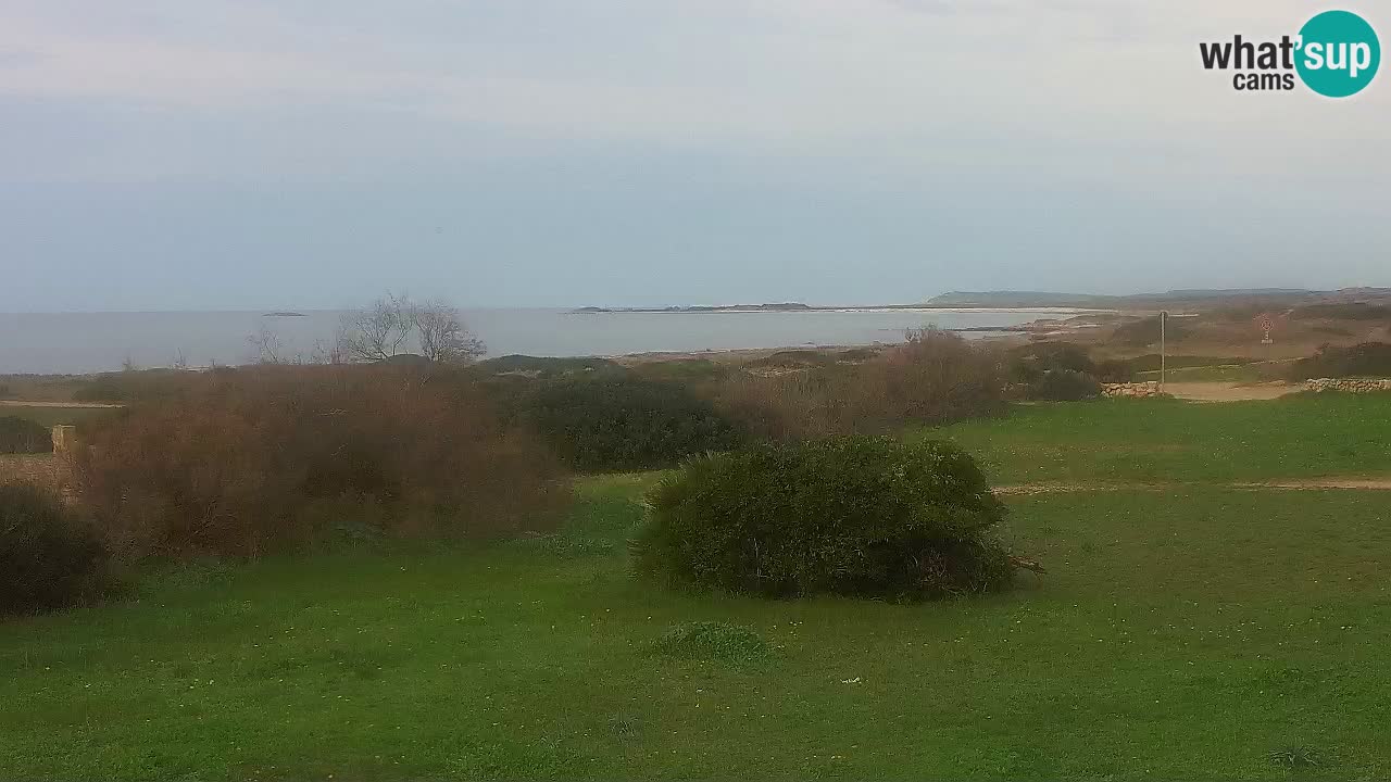 Spiaggia Mari Ermi | Is Arutas – Oristano