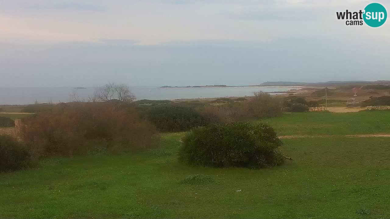 Spiaggia Mari Ermi | Is Arutas – Oristano