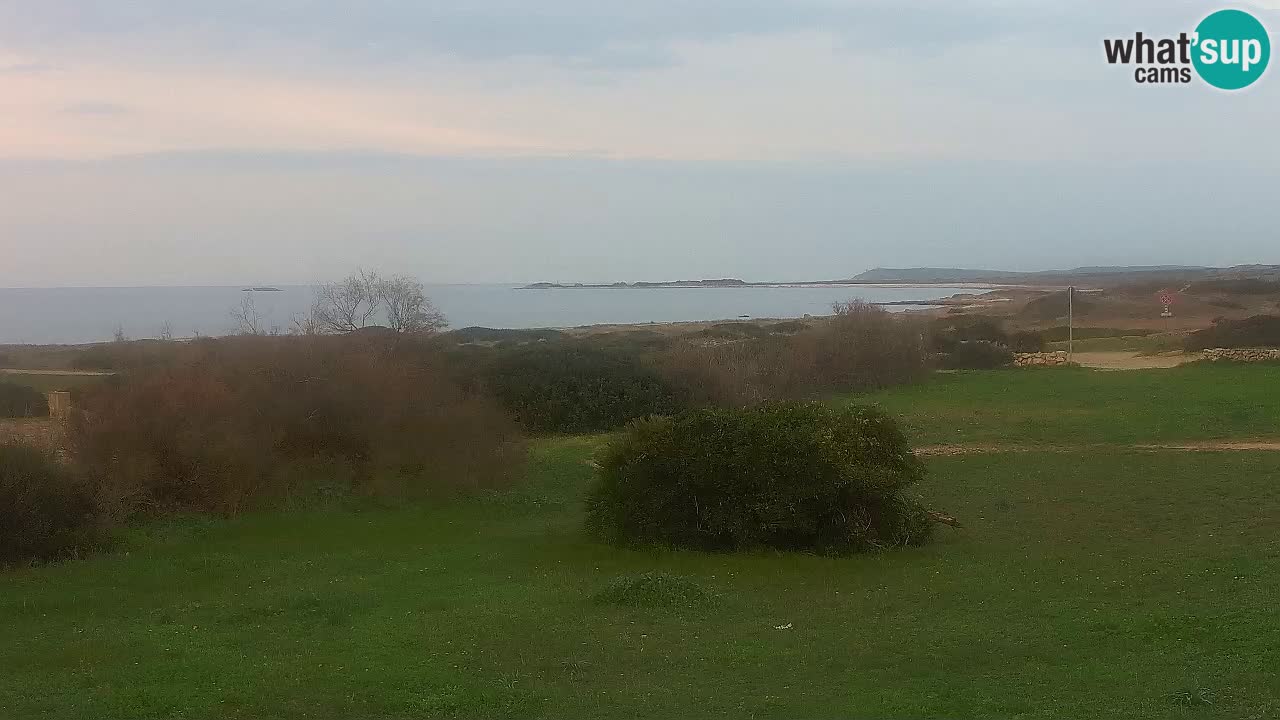 Plaža Mari Ermi | Is Arutas – Oristano