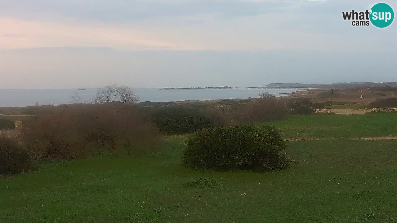 Spiaggia Mari Ermi | Is Arutas – Oristano