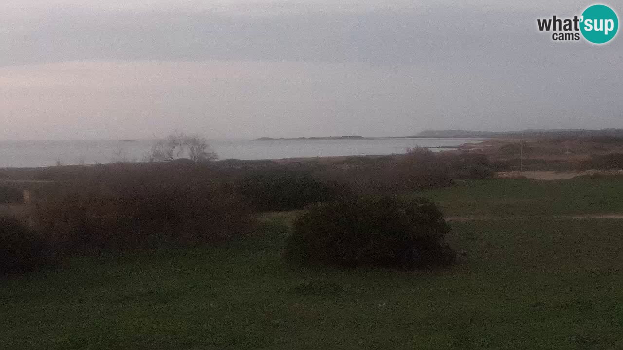 Playa Mari Ermi | Is Arutas – Oristano