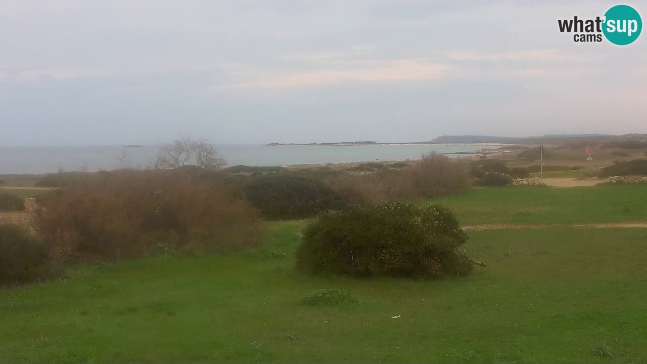 Playa Mari Ermi | Is Arutas – Oristano