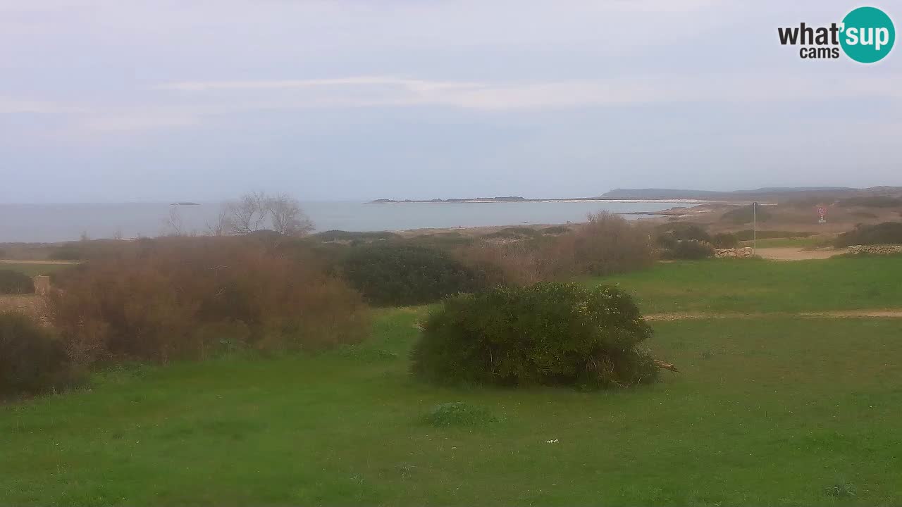 Playa Mari Ermi | Is Arutas – Oristano