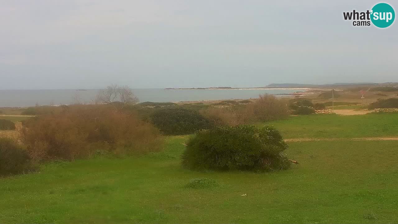 Mari Ermi beach | Is Arutas – Oristano