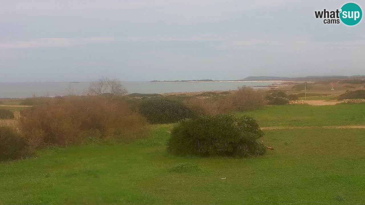 Plage Mari Ermi | Is Arutas – Oristano