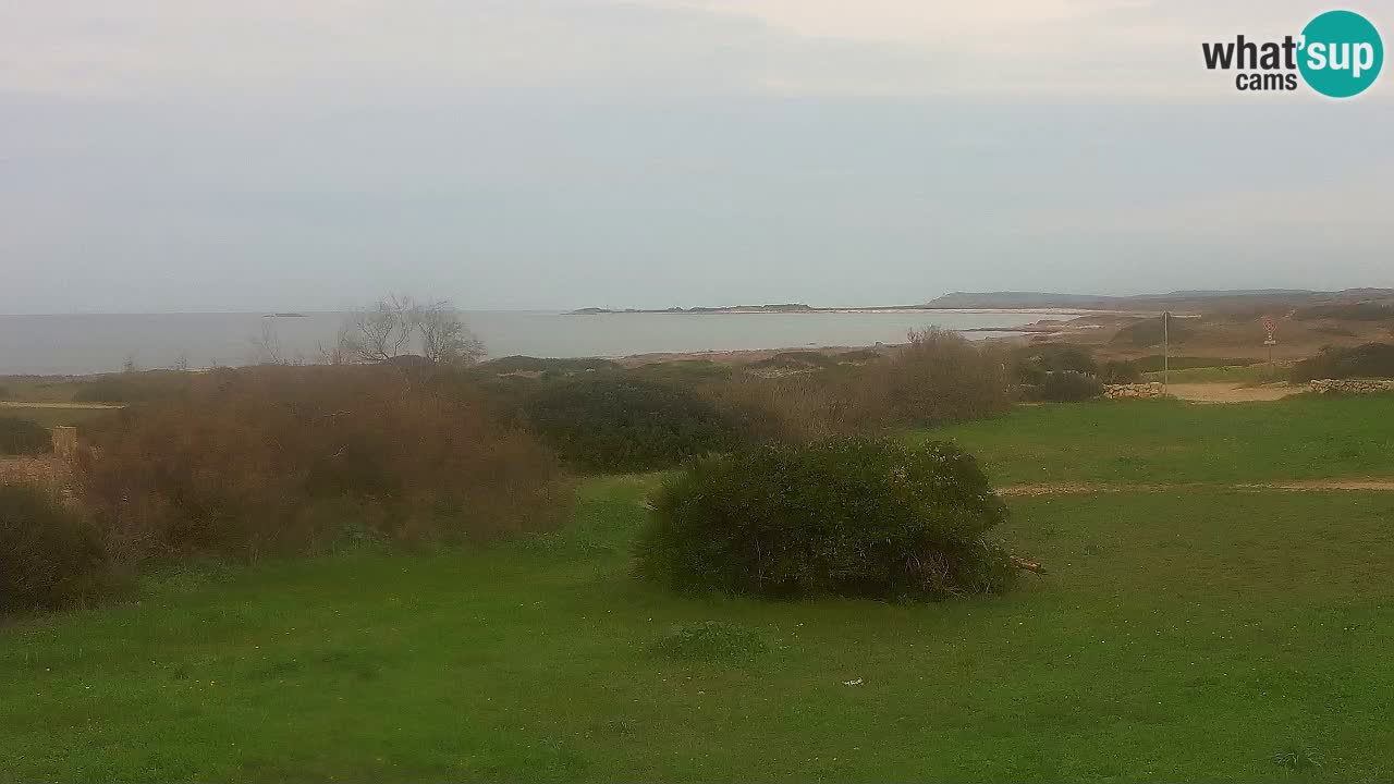 Mari Ermi beach | Is Arutas – Oristano