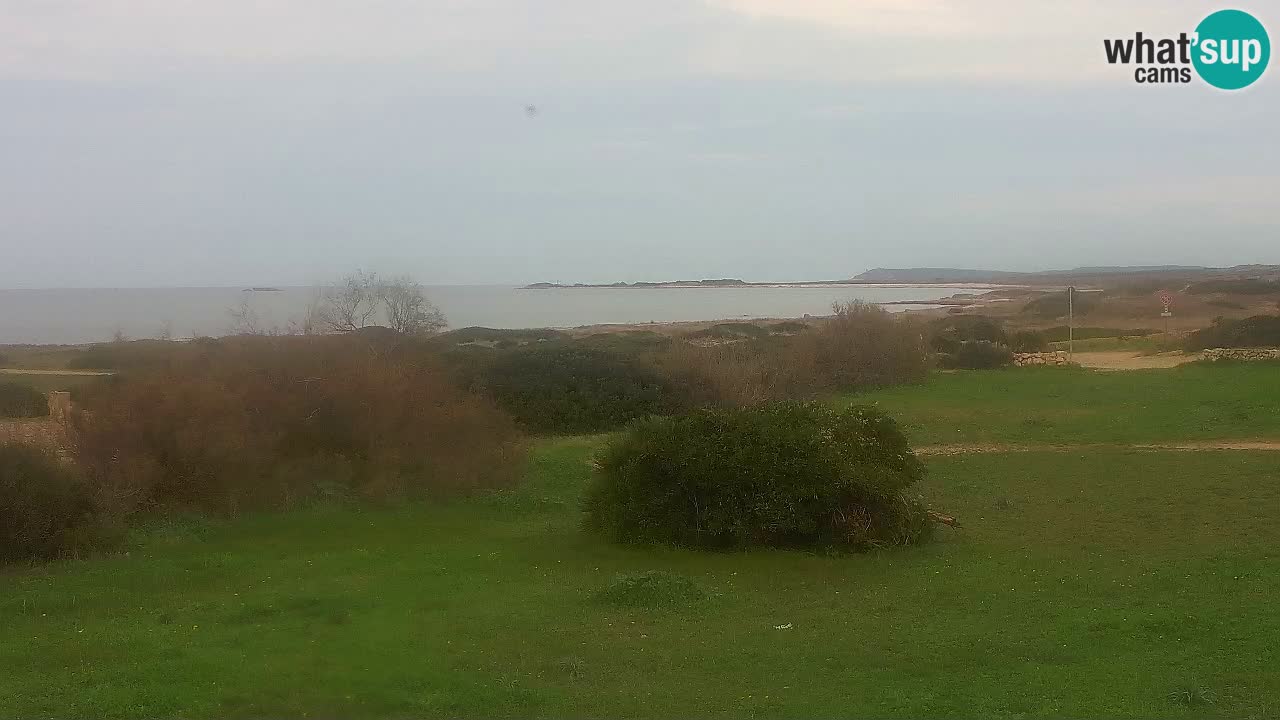 Plage Mari Ermi | Is Arutas – Oristano