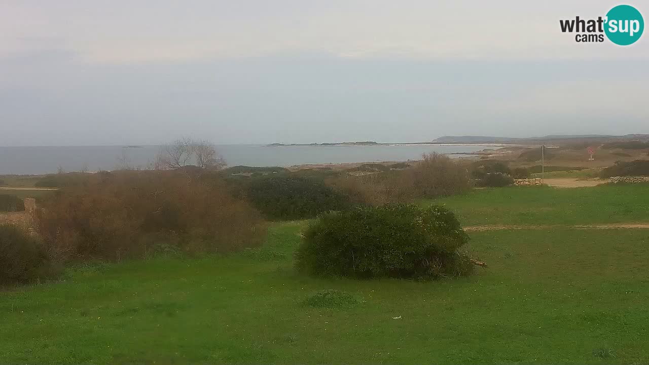 Plage Mari Ermi | Is Arutas – Oristano