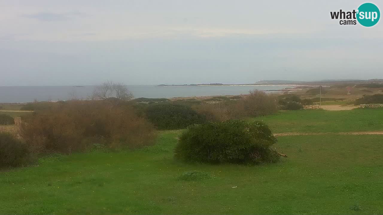 Plage Mari Ermi | Is Arutas – Oristano