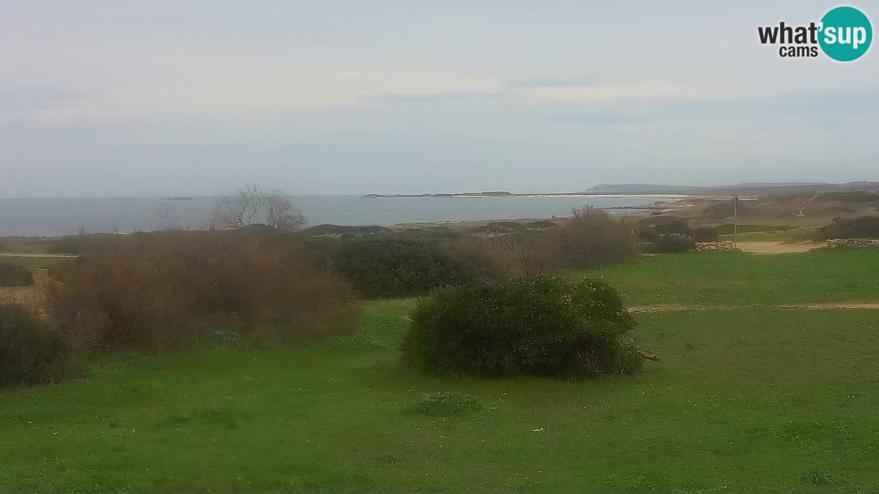 Playa Mari Ermi | Is Arutas – Oristano