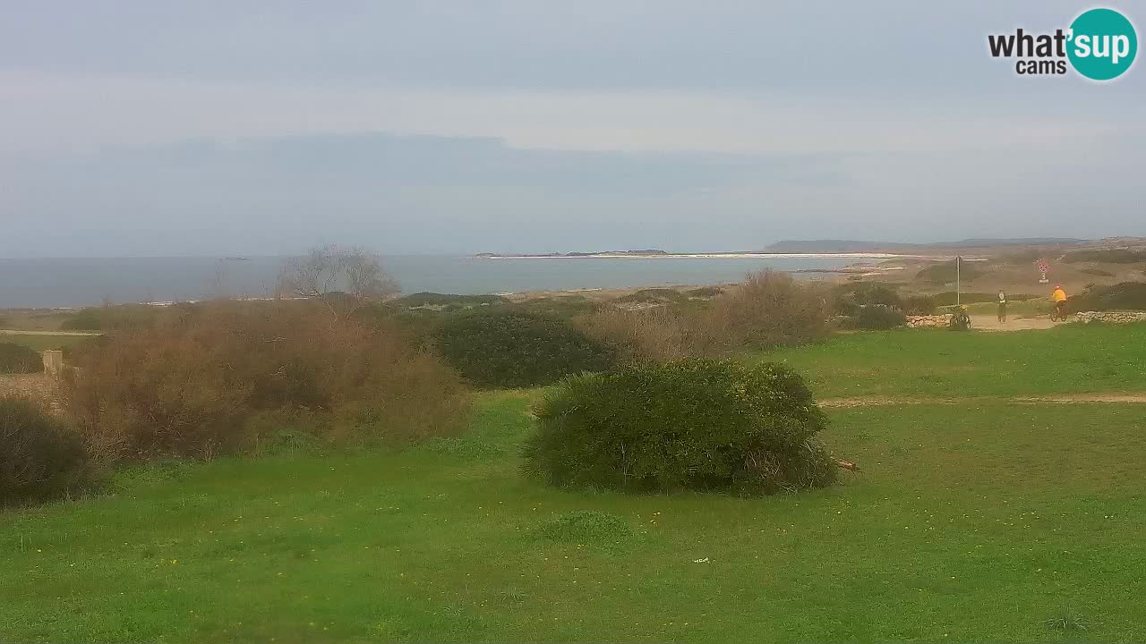 Mari Ermi Strand | Is Arutas – Oristano