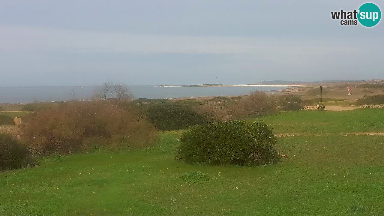 Mari Ermi beach | Is Arutas – Oristano