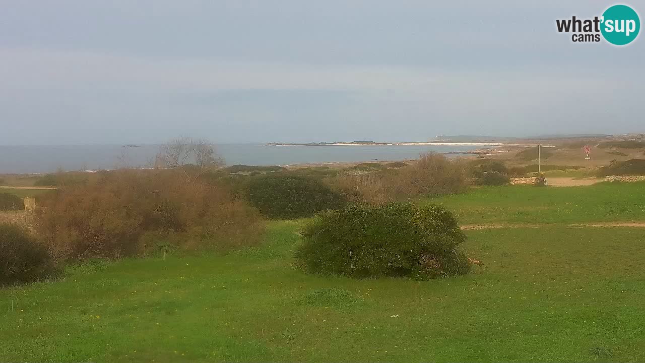 Playa Mari Ermi | Is Arutas – Oristano