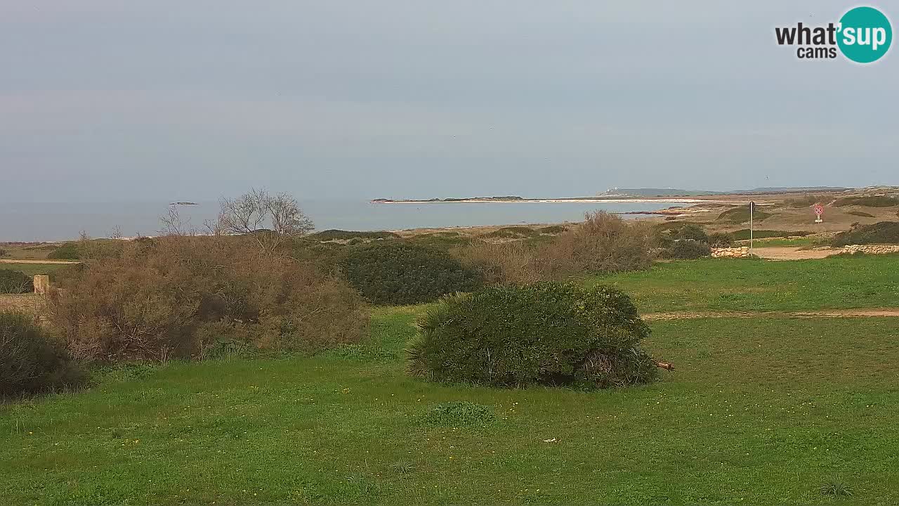 Plaža Mari Ermi | Is Arutas – Oristano