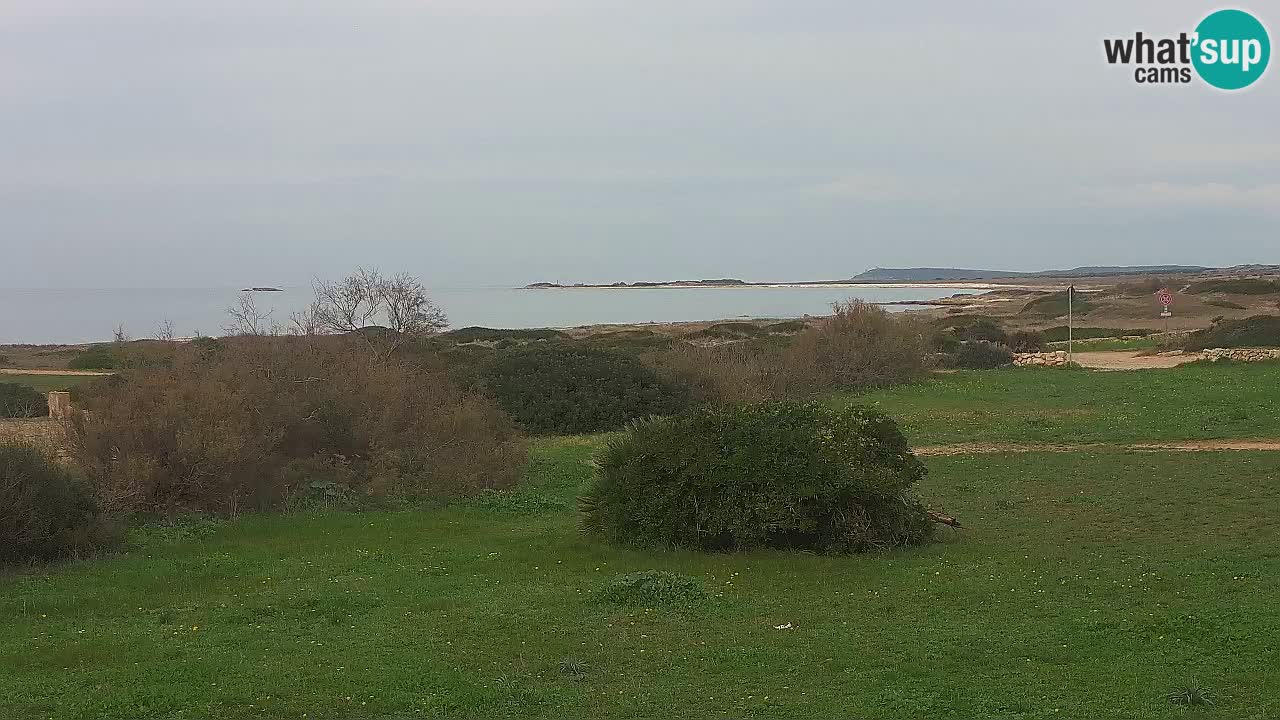 Mari Ermi Strand | Is Arutas – Oristano