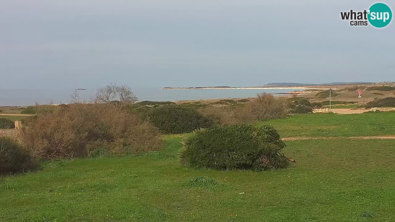 Plaža Mari Ermi | Is Arutas – Oristano