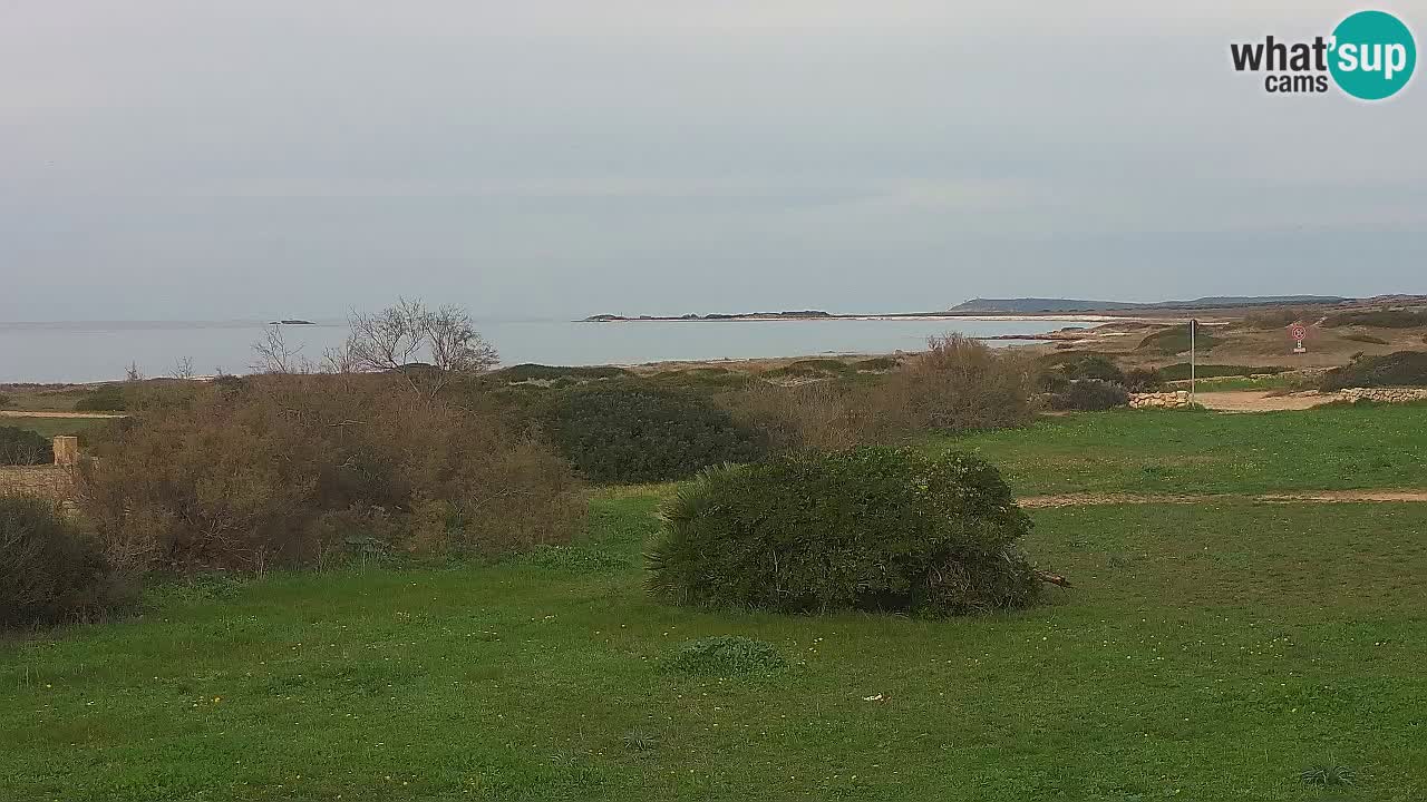 Mari Ermi Strand | Is Arutas – Oristano