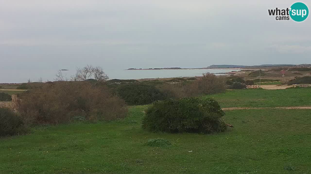 Plaža Mari Ermi | Is Arutas – Oristano