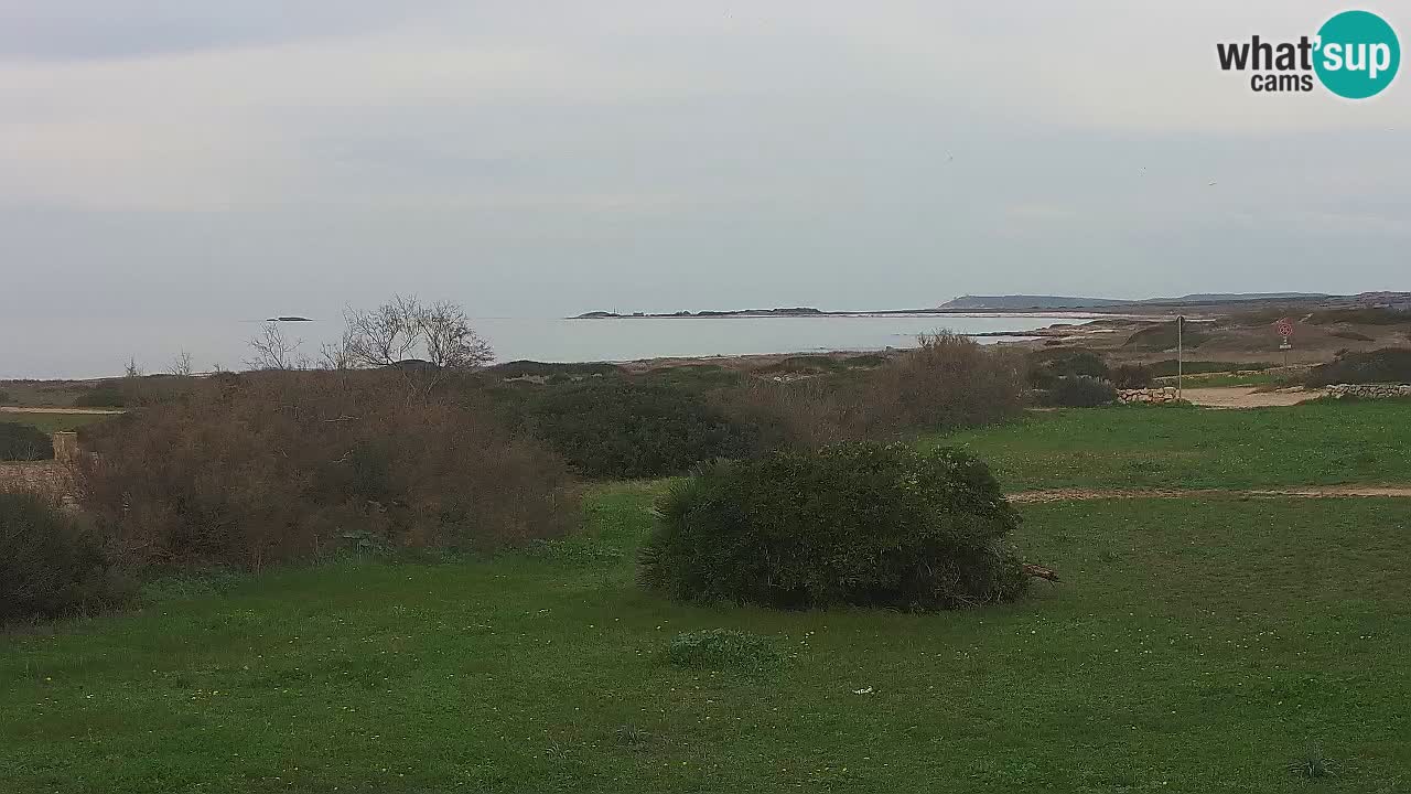 Plage Mari Ermi | Is Arutas – Oristano