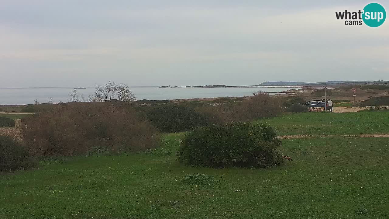 Plaža Mari Ermi | Is Arutas – Oristano