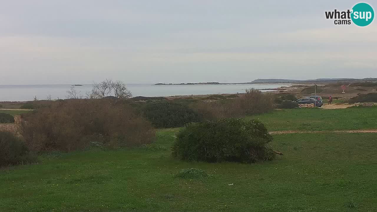 Plaža Mari Ermi | Is Arutas – Oristano