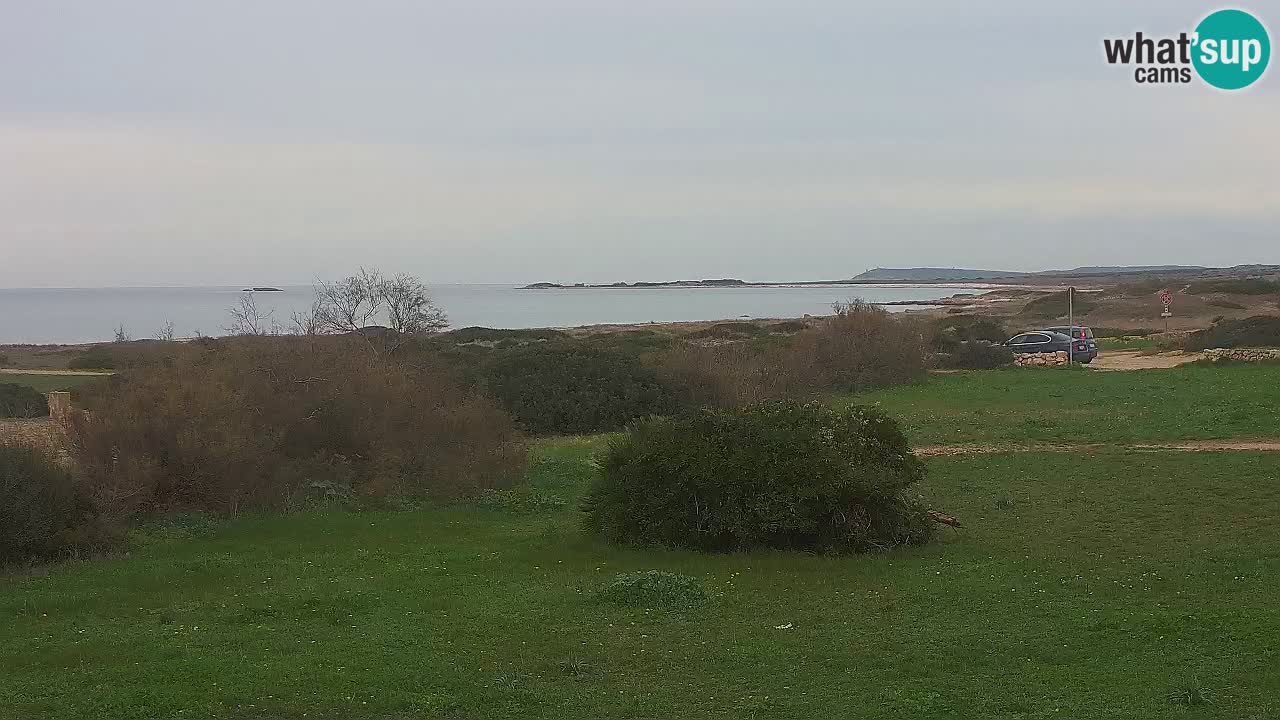 Mari Ermi beach | Is Arutas – Oristano