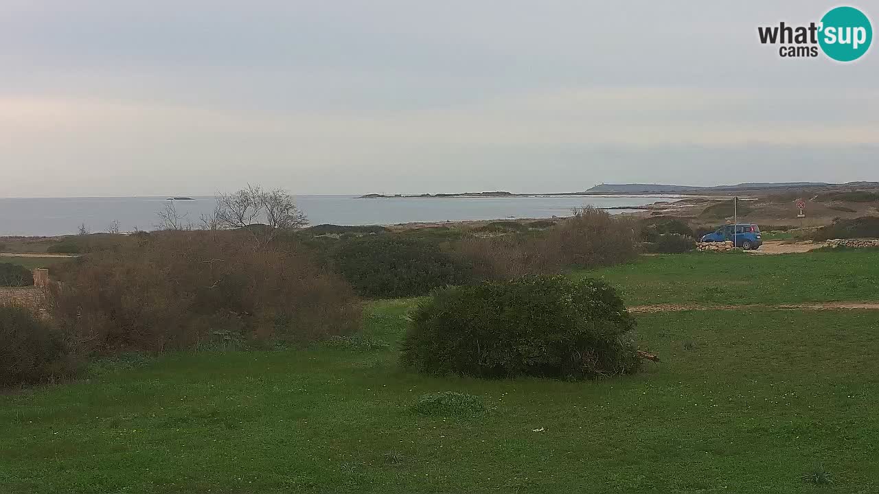 Mari Ermi beach | Is Arutas – Oristano