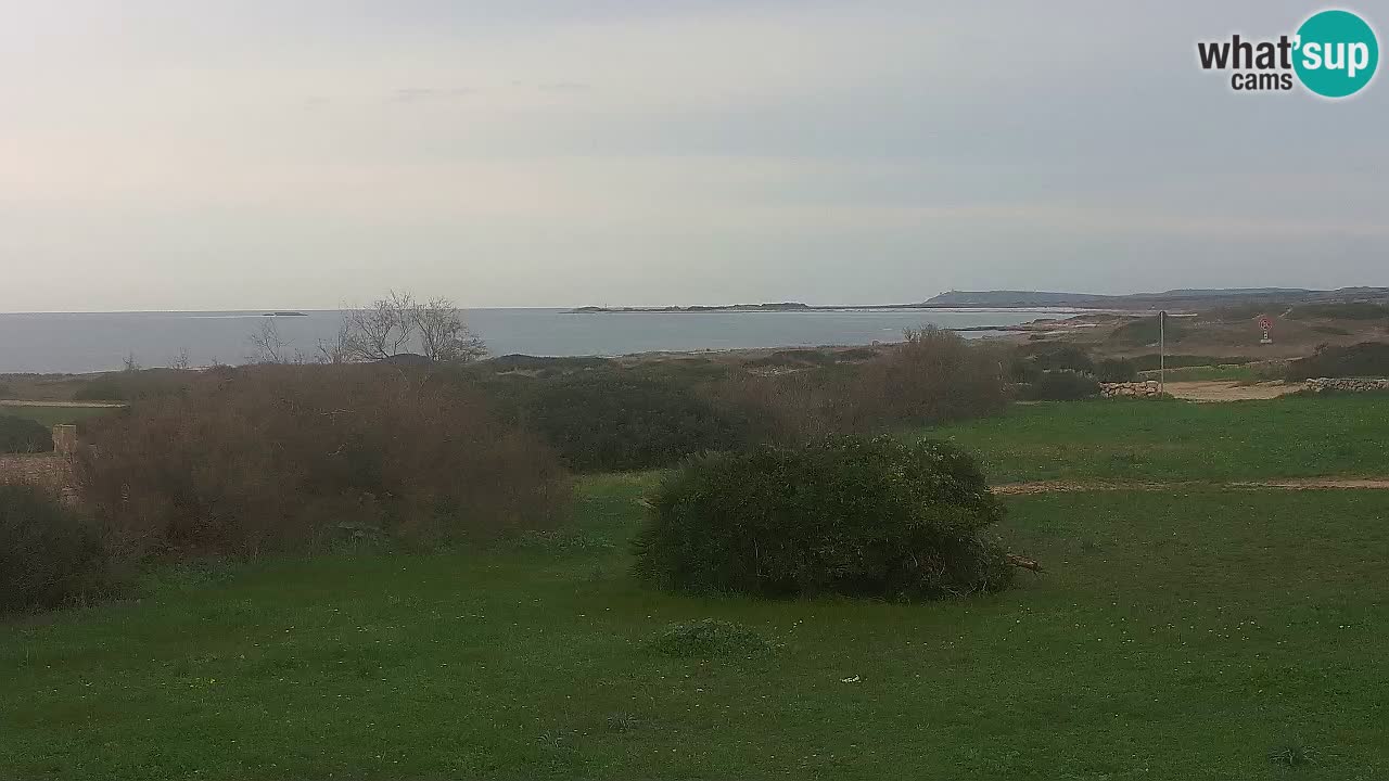 Plage Mari Ermi | Is Arutas – Oristano