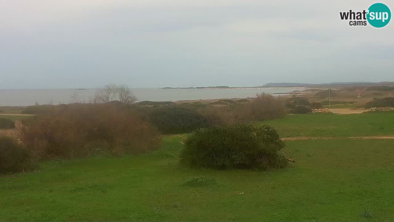 Plage Mari Ermi | Is Arutas – Oristano