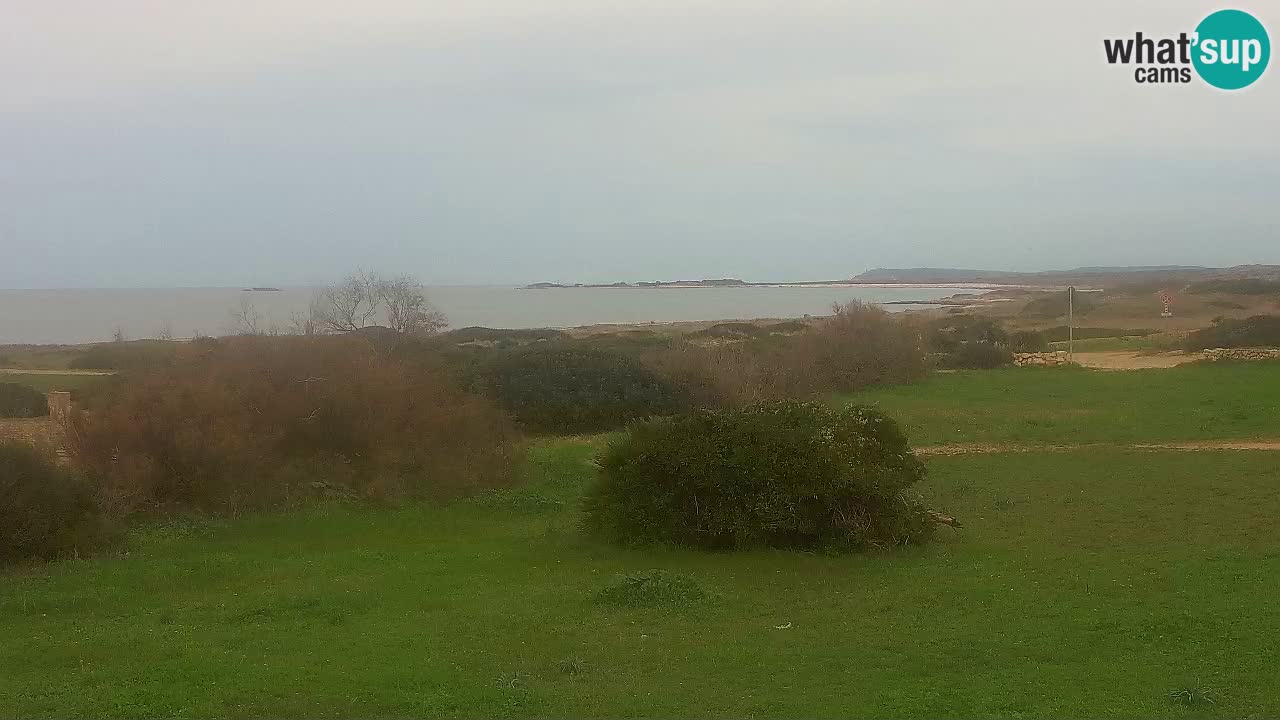 Mari Ermi beach | Is Arutas – Oristano