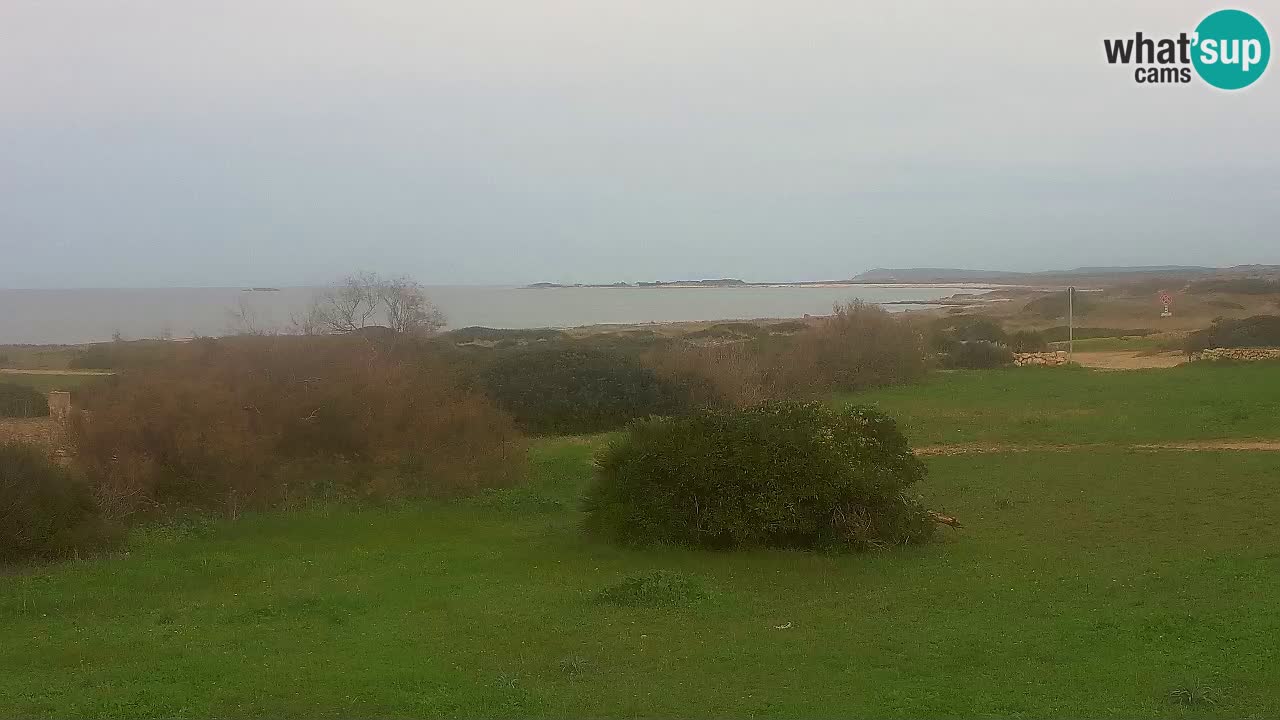 Plaža Mari Ermi | Is Arutas – Oristano