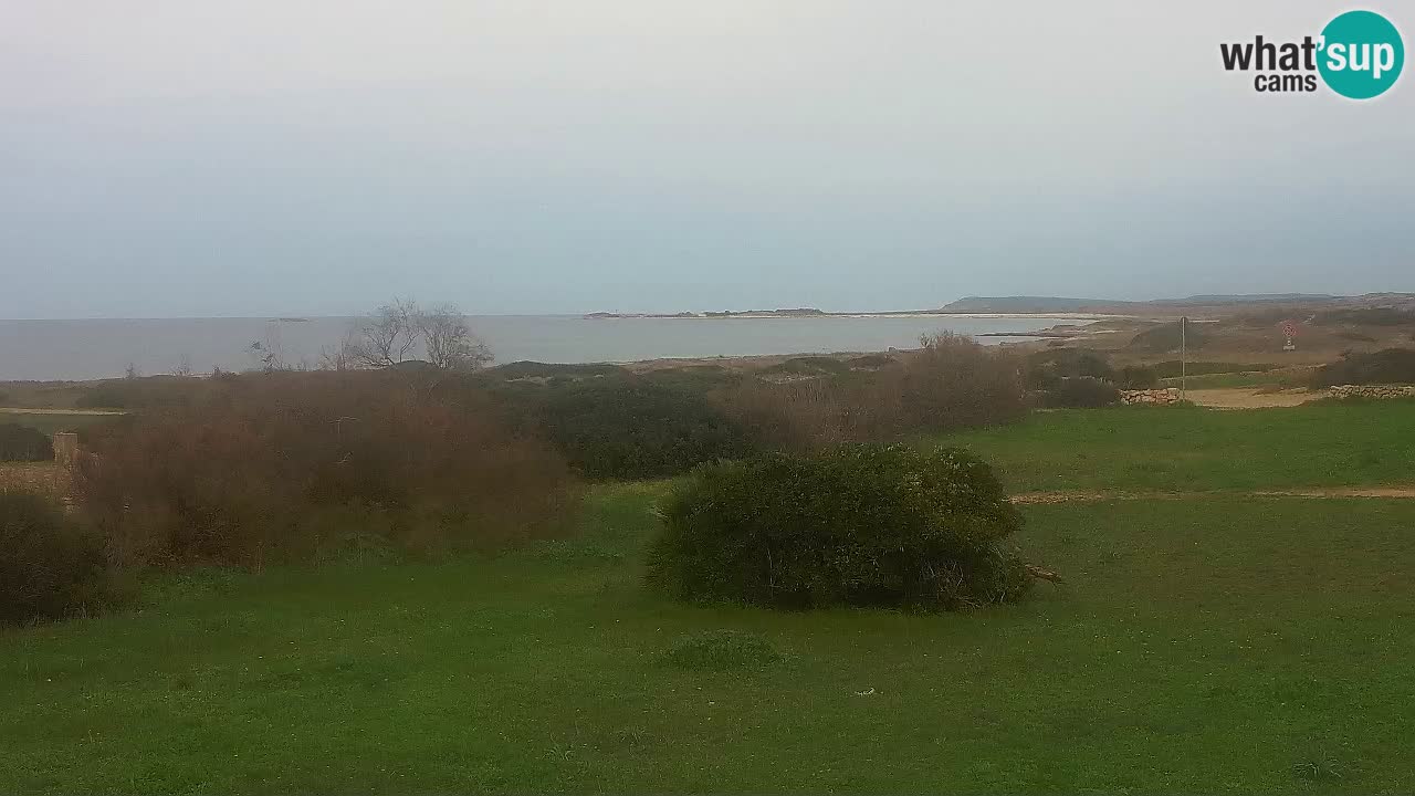 Plaža Mari Ermi | Is Arutas – Oristano