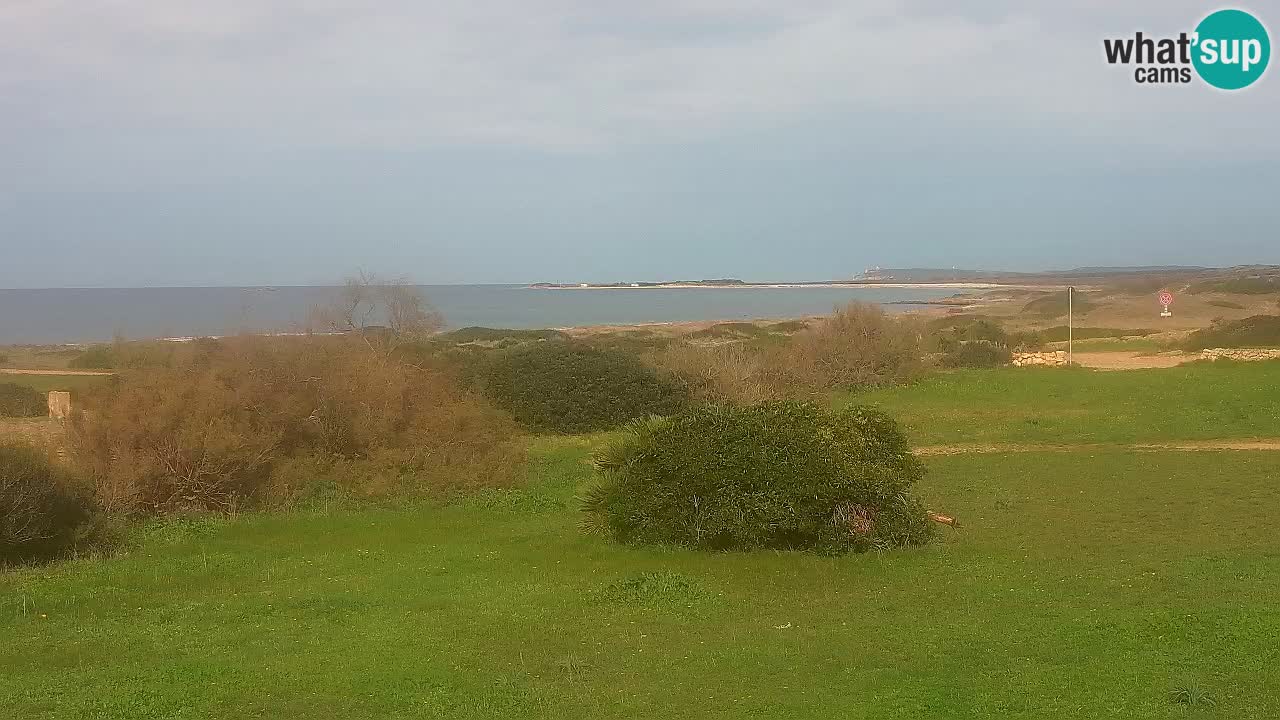 Plaža Mari Ermi | Is Arutas – Oristano