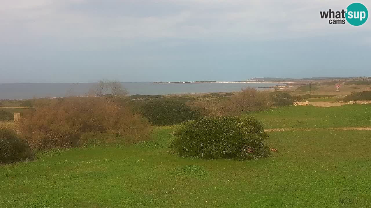 Mari Ermi beach | Is Arutas – Oristano